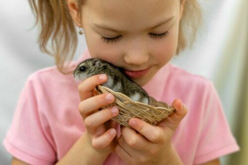 Hoe je kunt zien of je hamster gelukkig is