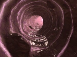 Slijm in hondenuitwerpselen: oorzaken en behandeling