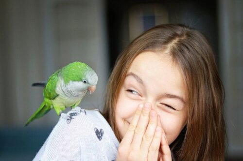 De 12 beste vogels om als huisdier te houden