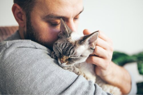 Is het een goed idee om met je kat te slapen?