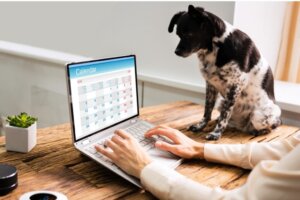 6 oefeningen om een routine voor je hond in te stellen