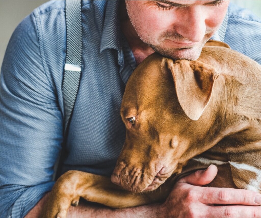 7 dingen die je doet die het leven van je hond kunnen verkorten