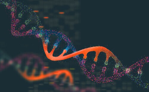 Populatiegenetica bij dieren - wat is het?