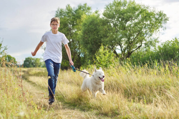 Dagelijkse wandelingen met de hond verplicht in Duitsland
