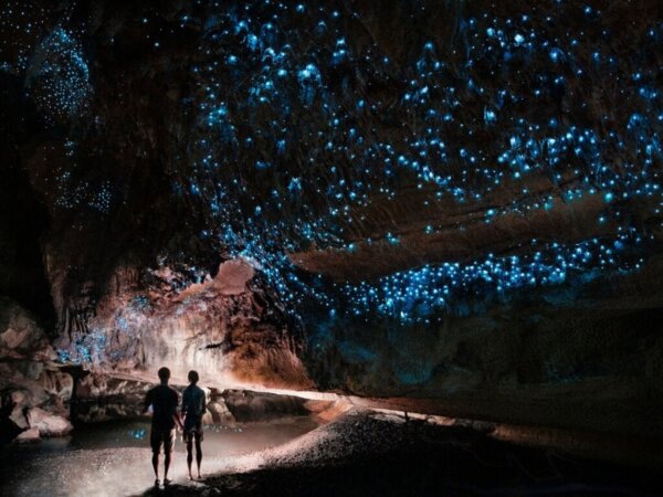 Bioluminescentie: wormen die gloeien in het donker