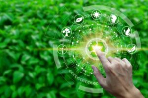 Wat is de productiviteit van een ecosysteem?