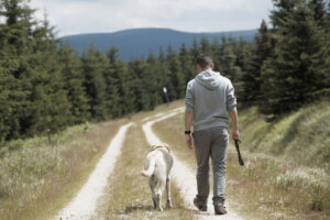Waarom volgen honden hun baasjes?
