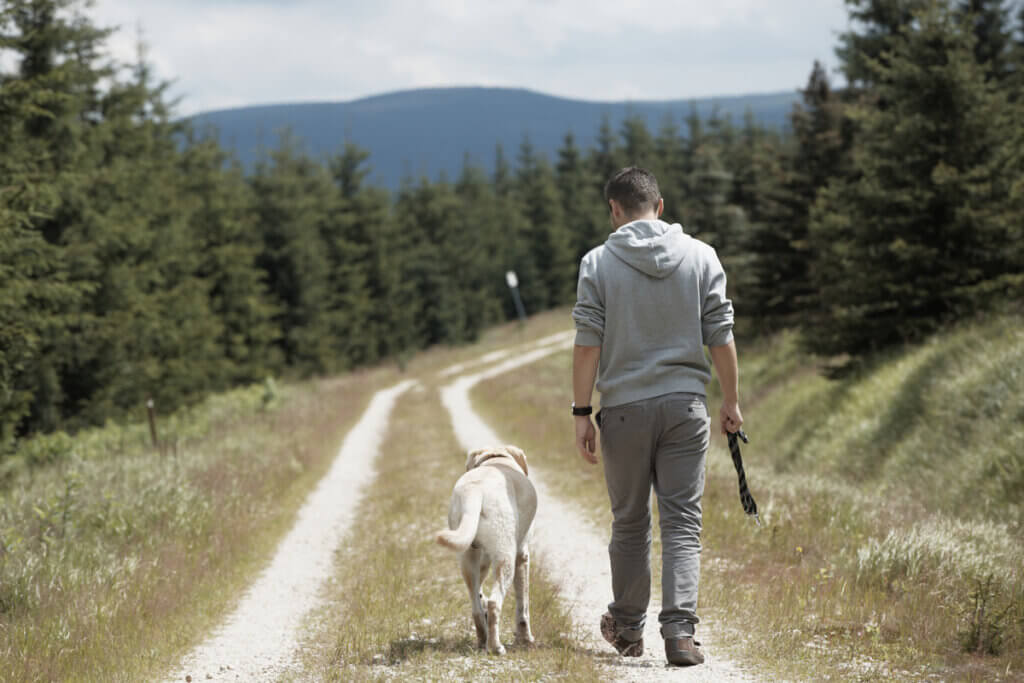 Waarom volgen honden hun baasjes?