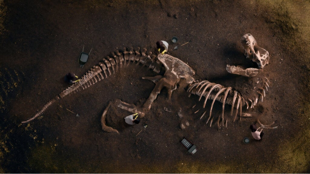 Hoeveel soorten dinosauriërs bestonden er?