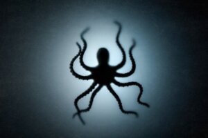 De 12 grootste zeedieren ter wereld