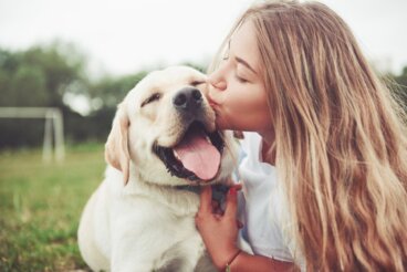 De beste beroemde citaten over liefde voor dieren